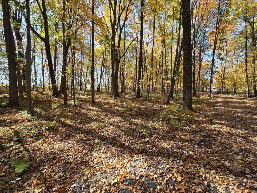 2541 County Hwy D, Boyd WI 54726 - Land house for sale - MLS #1605930 - image17