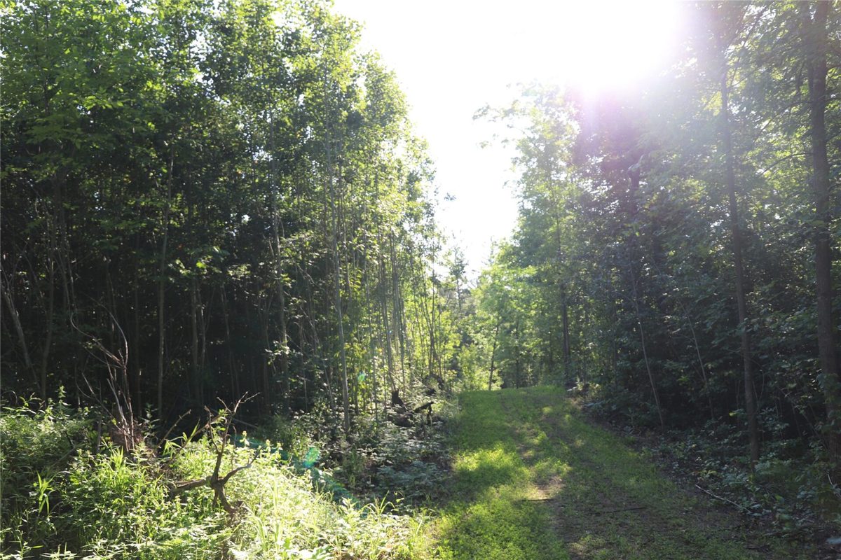0000 Sand Lake Road, Stone Lake WI 54876 - Land house for sale - MLS #1604299 - image18