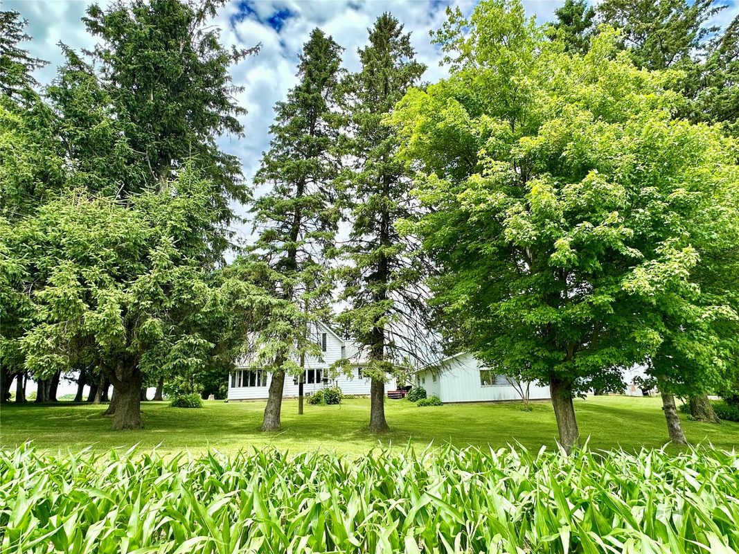 N3236 Nelson Road, Stockholm WI 54769 - Residential house for sale - MLS #1602745 - image16