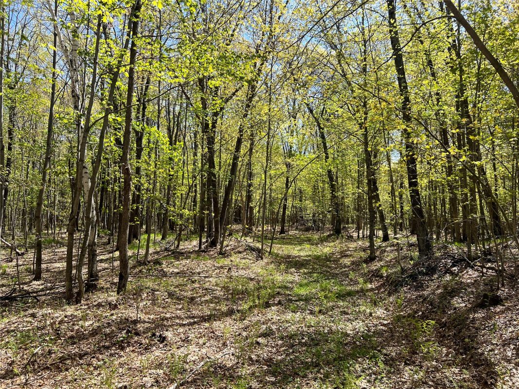 W6474 River Road, Trego WI 54888 - Land house for sale - MLS #1601245 - image15
