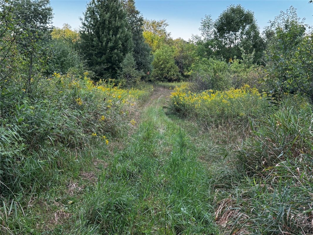 XX 340th, Clam Falls WI 54837 - Land house for sale - MLS #1605346 - image19