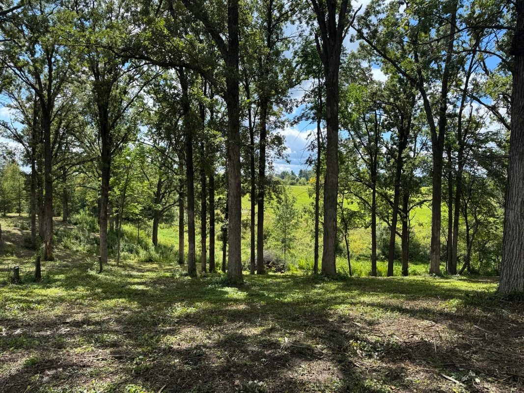 Lot 28 21st Street, Rice Lake WI 54868 - Land house for sale - MLS #1603229 - image13