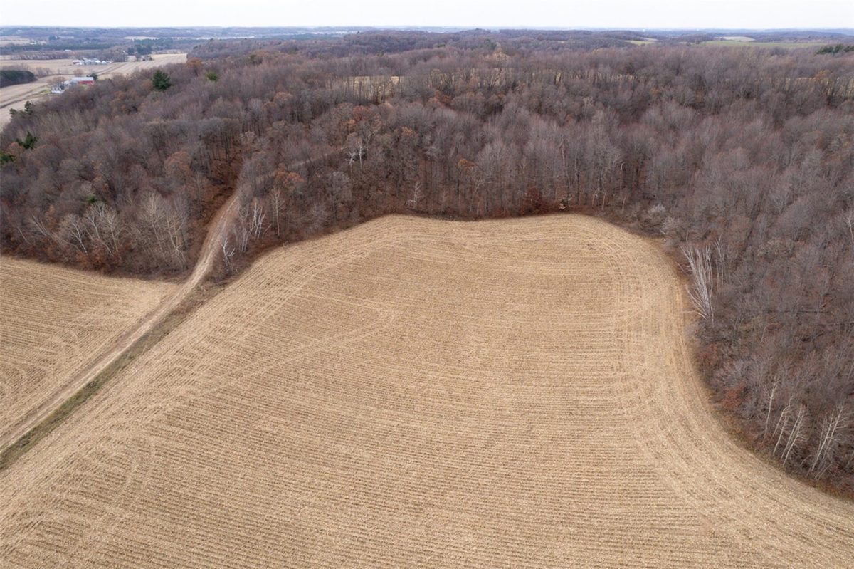 8700 Otter Creek Road, Fall Creek WI 54742 - Land house for sale - MLS #1602481 - image16