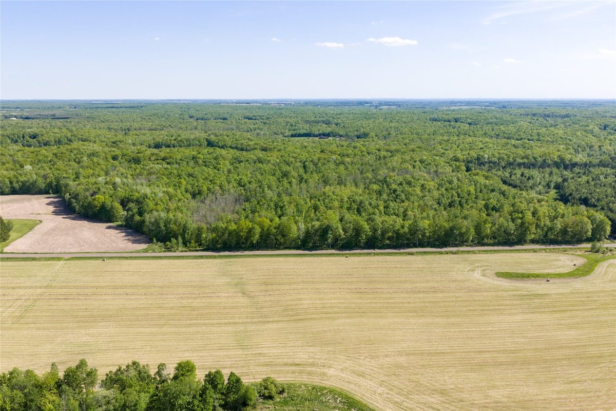 40 Acres 270th Street, Cornell WI 54732 - Land house for sale - MLS #1601484 - image7