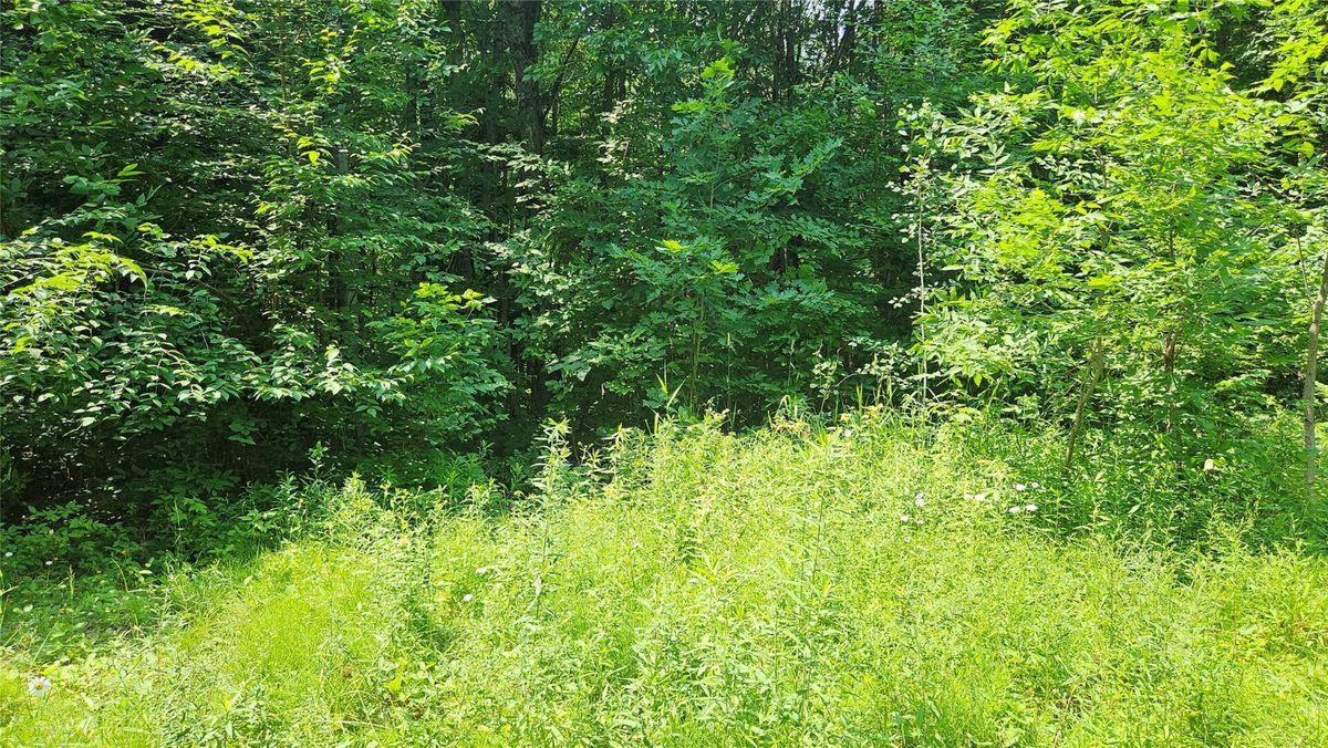 4687 Valesh Road, Couderay WI 54828 - Land house for sale - MLS #1602810 - image10