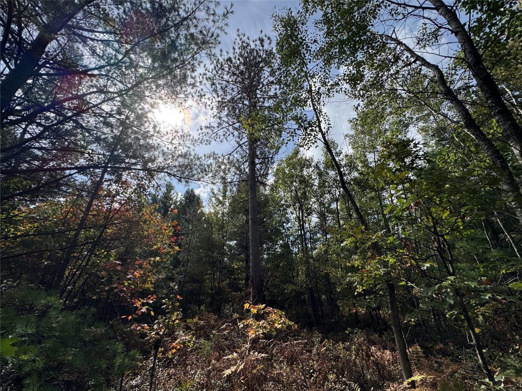 W4199 Ballard Road, Neillsville WI 54456 - Land house for sale - MLS #1605652 - image24