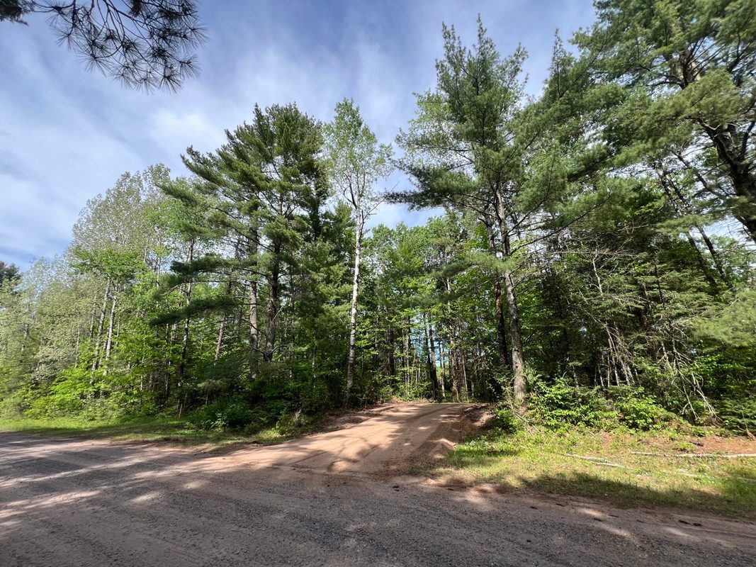 Lot 1 Smith Road, Couderay WI 54828 - Land house for sale - MLS #1601877 - image3