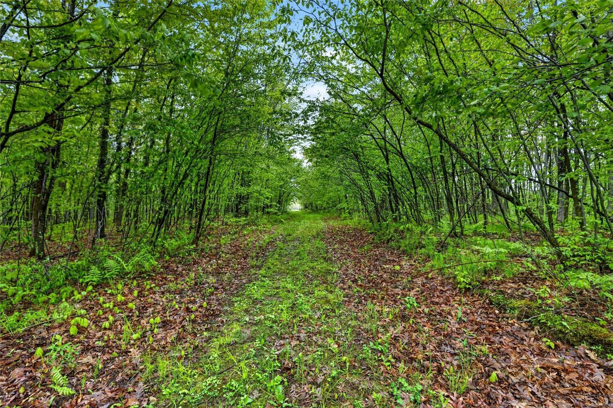 N8771 Fye Road, Trego WI 54888 - Land house for sale - MLS #1603147 - image17
