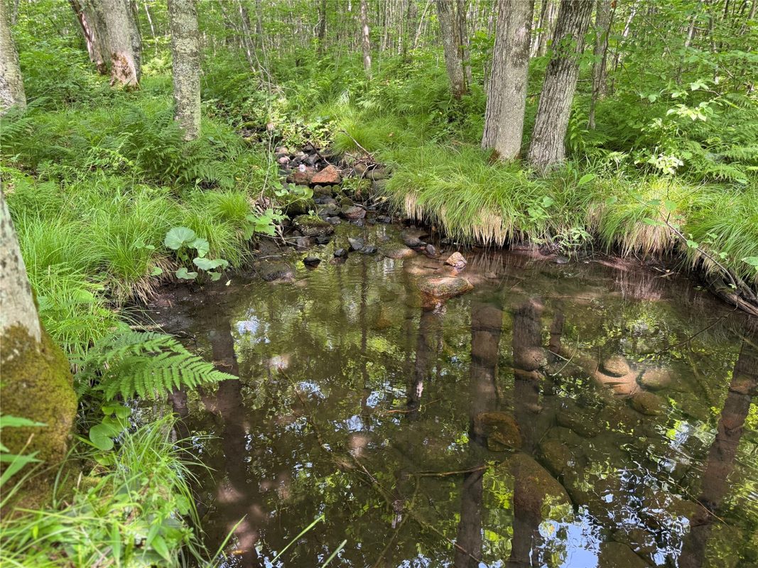 XXX Eckel Lane, Couderay WI 54835 - Land house for sale - MLS #1603143 - image37