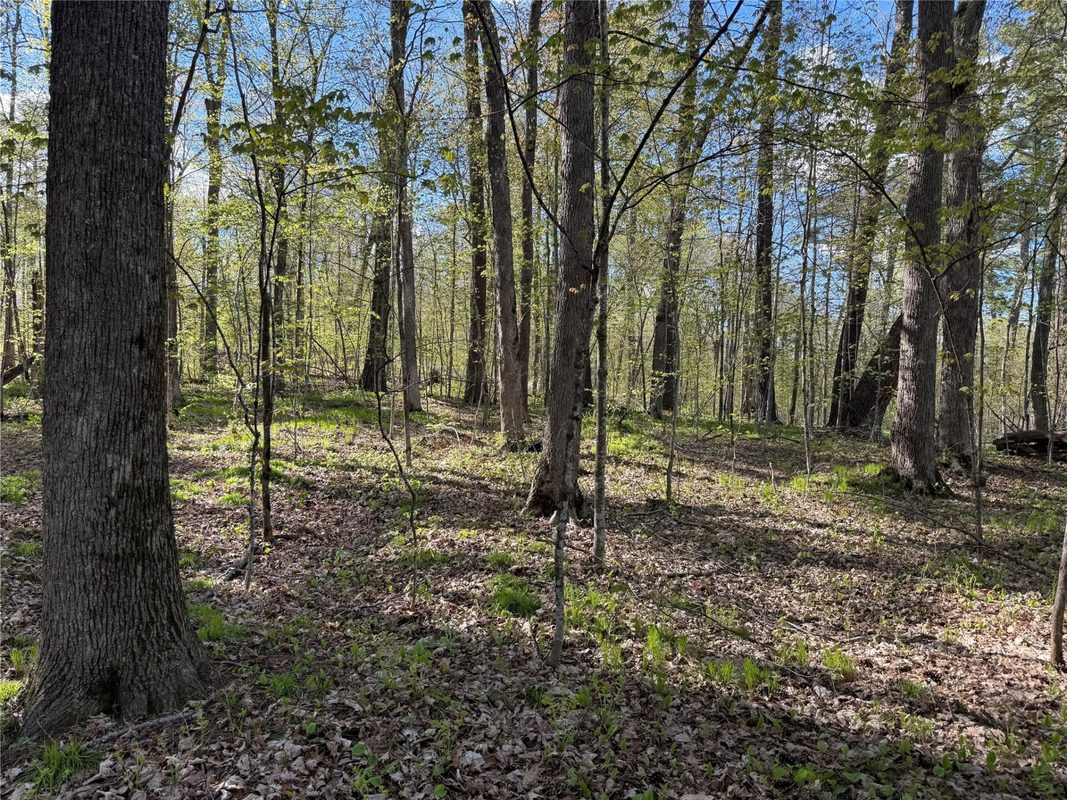 W2373 Blackhawk Road, Sarona WI 54870 - Land house for sale - MLS #1601195 - image12