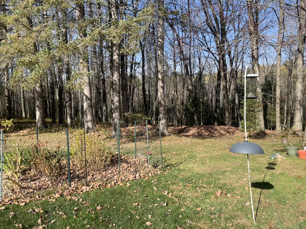 1100 7th Avenue, Park Falls WI 54552 - Residential house for sale - MLS #1606130 - image6
