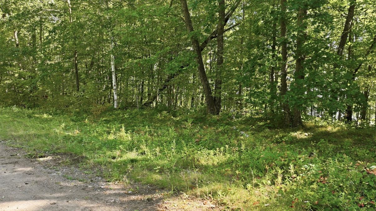 Lot 2 Sugar Bay Road, Chetek WI 54728 - Land house for sale - MLS #1605220 - image18