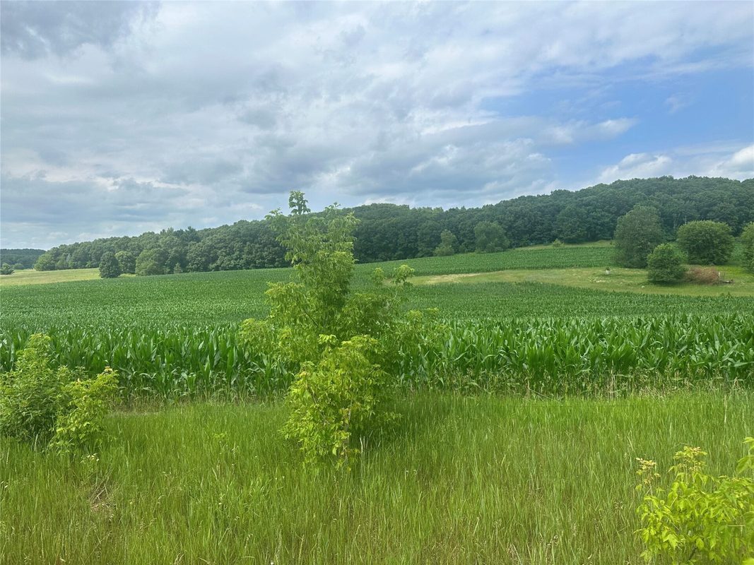 10925 Hemlock Road, Mondovi WI 54755 - Land house for sale - MLS #1604420 - image4