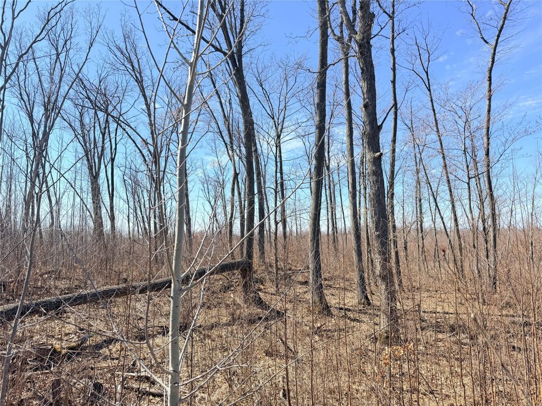 Lot 4 160th Avenue, Turtle Lake, WI — photo 25