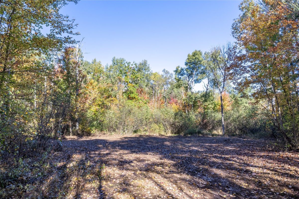 5 Acres Aggie Lane, Ladysmith WI 54848 - Land house for sale - MLS #1605699 - image5