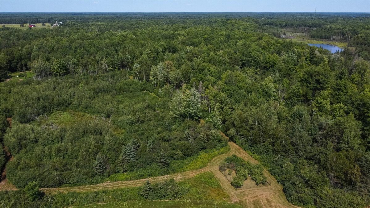 W8946 US Highway 8, Ladysmith WI 54848 - Land house for sale - MLS #1605125 - image4