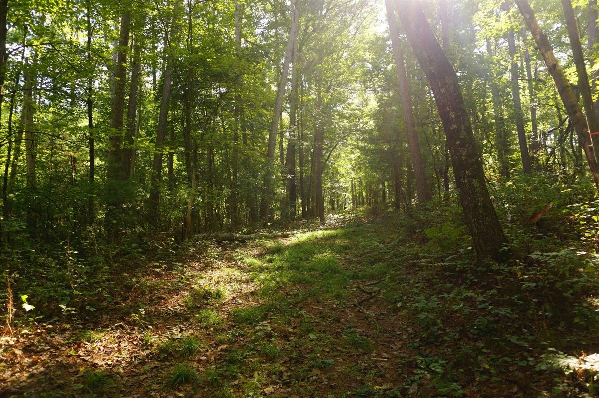 N9105 Flood -- Lot 5 Road, Black River Falls WI 54615 - Land house for sale - MLS #1605206 - image10