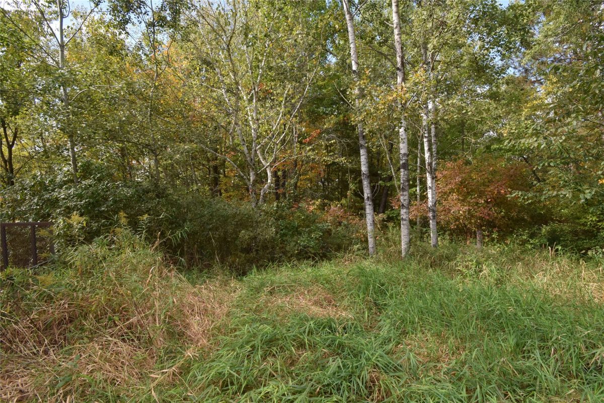 25663 State Road 35, Webster WI 54893 - Residential house for sale - MLS #1605560 - image37