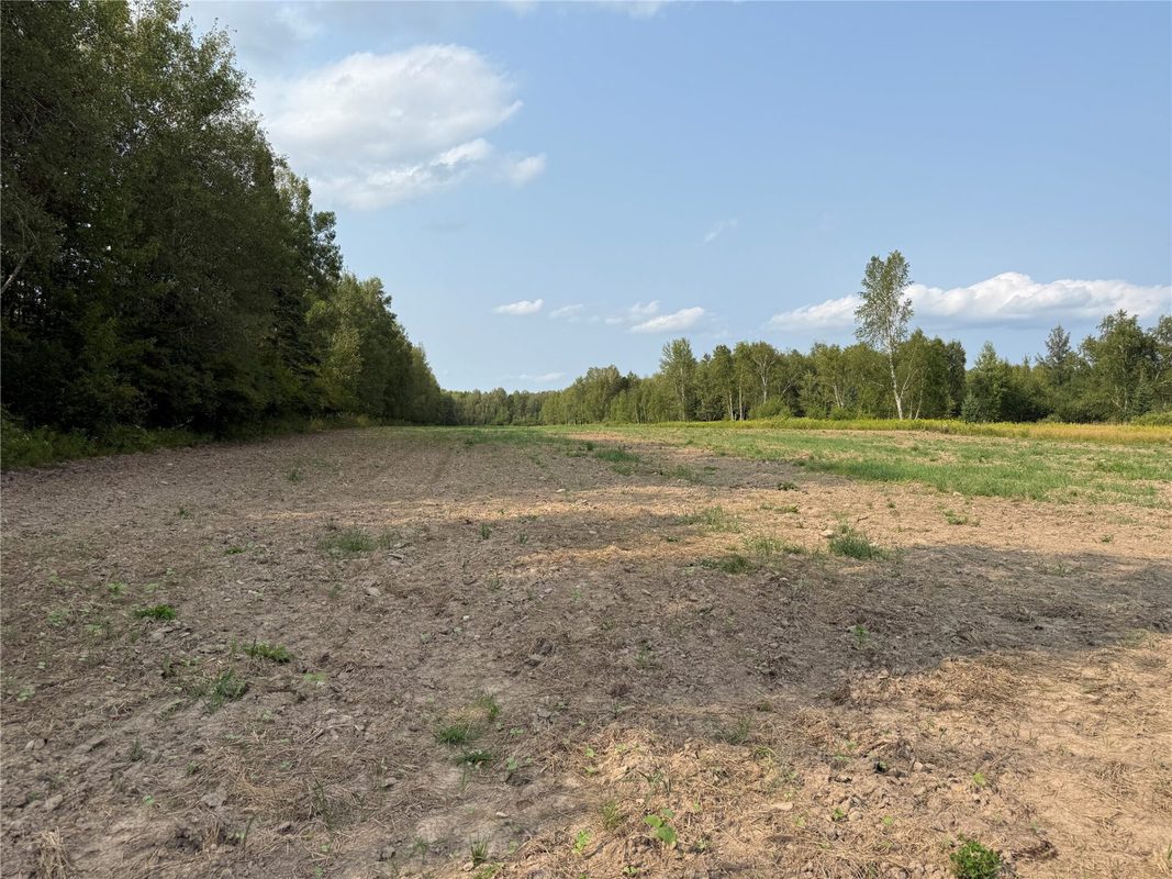 N8817 Smith Drive, Sheldon WI 54766 - Land house for sale - MLS #1598687 - image2