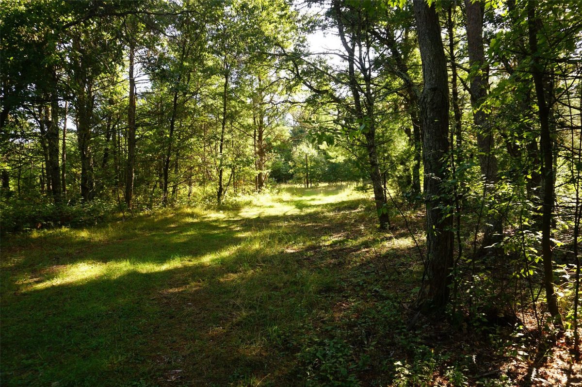 N9105 Flood -- Lot 5 Road, Black River Falls WI 54615 - Land house for sale - MLS #1605206 - image3