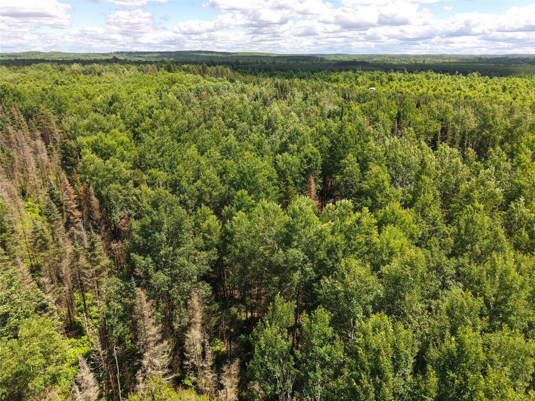 Lot 4 Main Road, Springbrook WI 54875 - Land house for sale - MLS #1602445 - image8