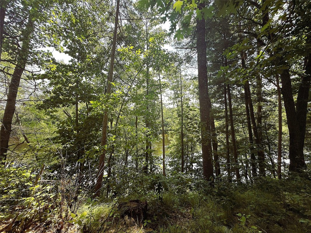N3720 State Highway 40, Bruce WI 54819 - Land house for sale - MLS #1603658 - image4