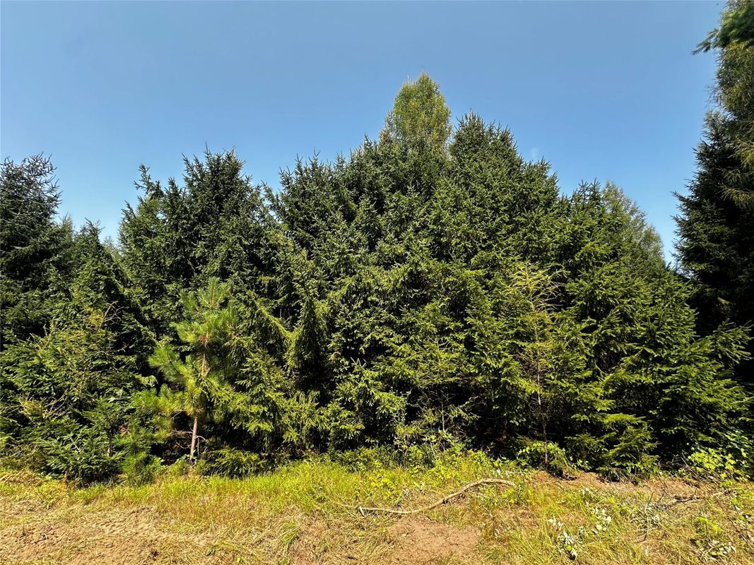 N9679 630th Street, Colfax WI 54730 - Land house for sale - MLS #1604625 - image26