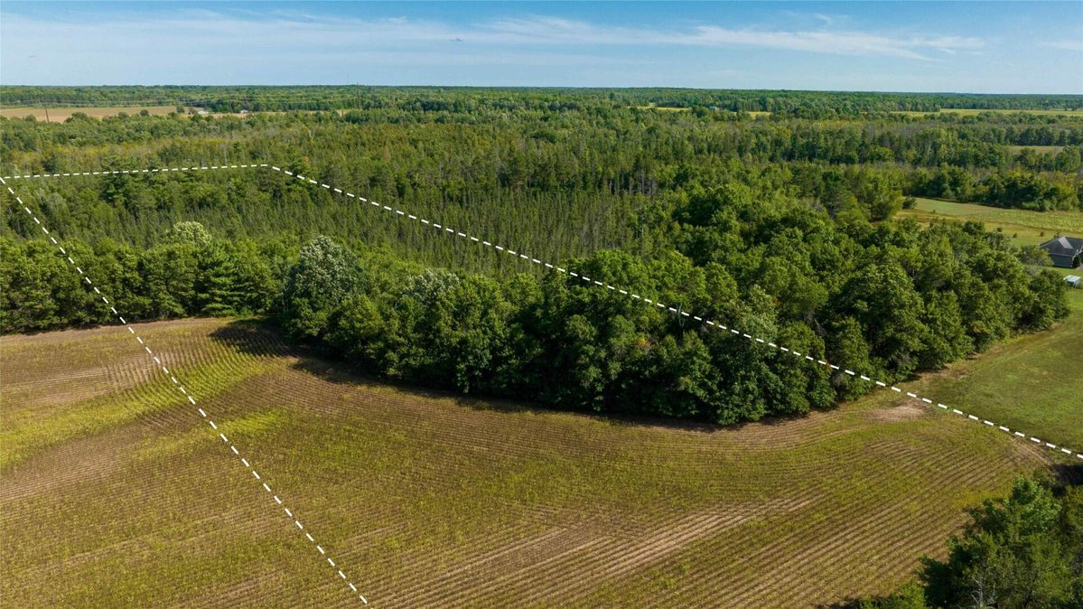 7562 Fairview Road, Ladysmith WI 54848 - Land house for sale - MLS #1605842 - image27