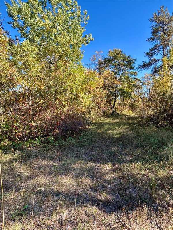 9524 Bergin Springs Road, Solon Springs WI 54873 - Land house for sale - MLS #1605714 - image11