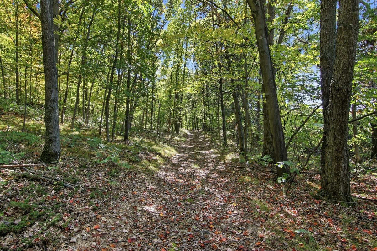 N6587 State Road 40, Elk Mound WI 54739 - Residential house for sale - MLS #1605426 - image56