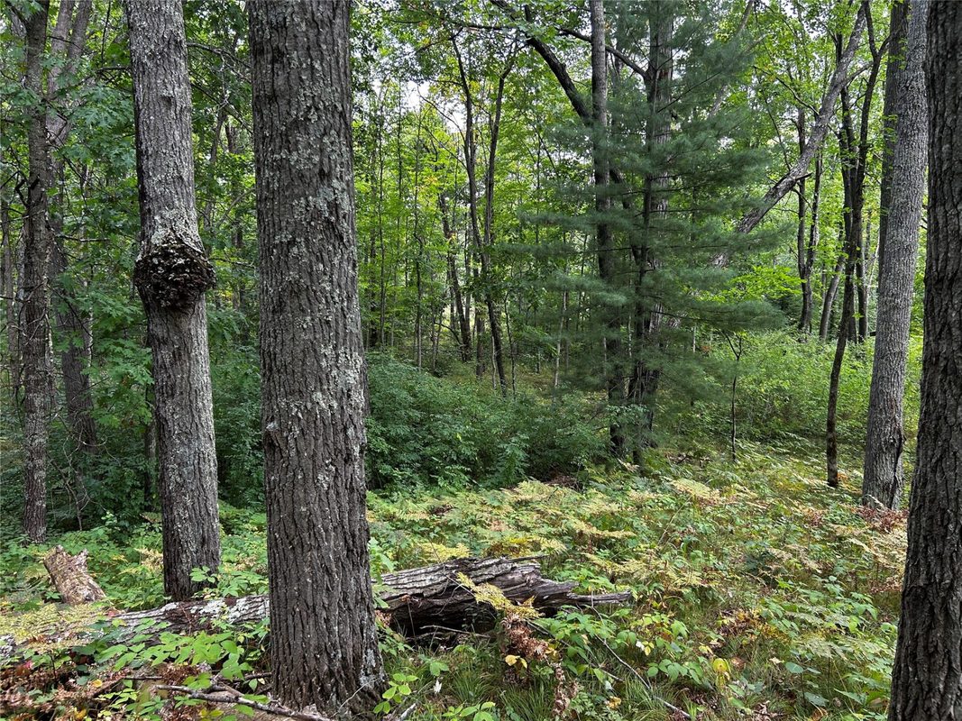 Lots 5 & 6 State Highway 70, Spooner WI 54801 - Land house for sale - MLS #1604806 - image28