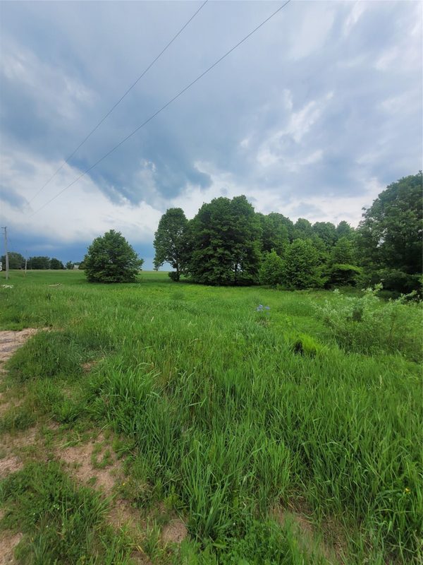 0000 County Hwy B Lot 4, Neillsville WI 54456 - Land house for sale - MLS #1597957 - image3