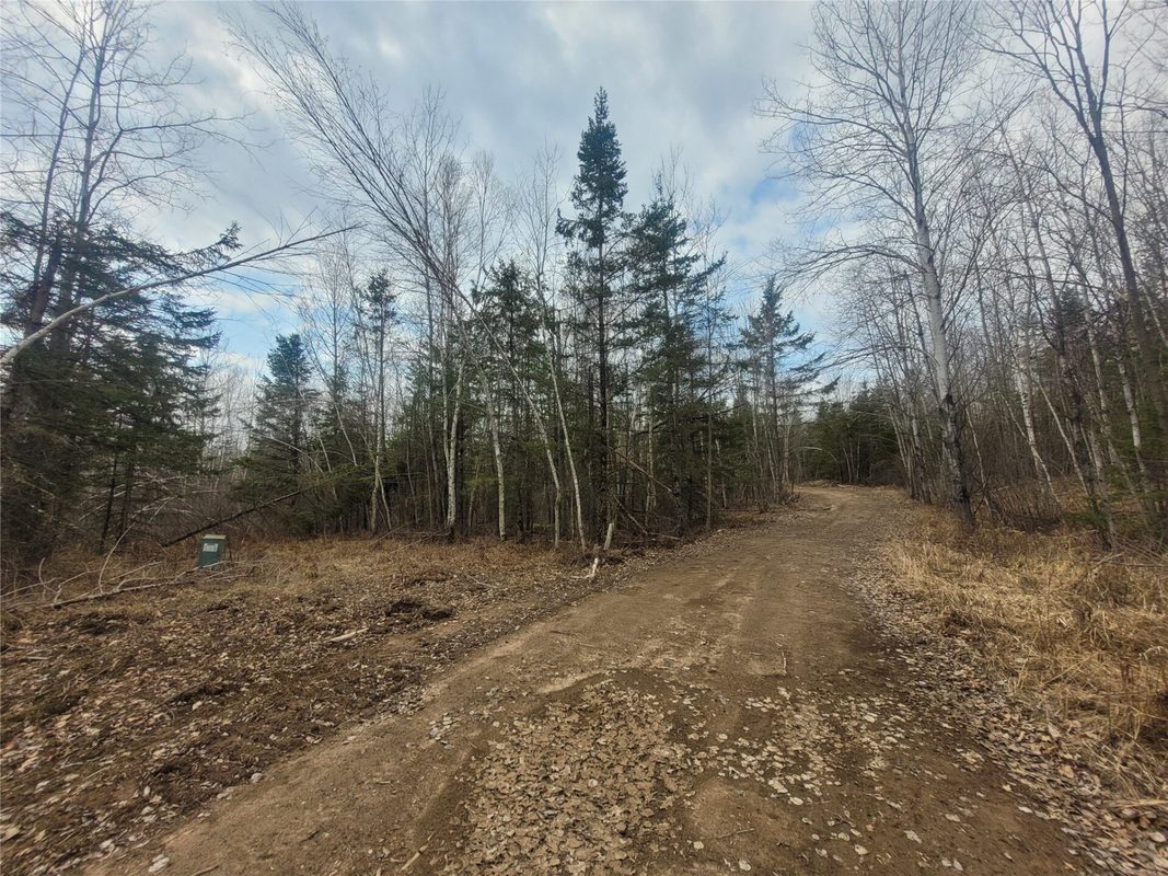 On Dean Road, Ladysmith WI 54848 - Land house for sale - MLS #1605065 - image8