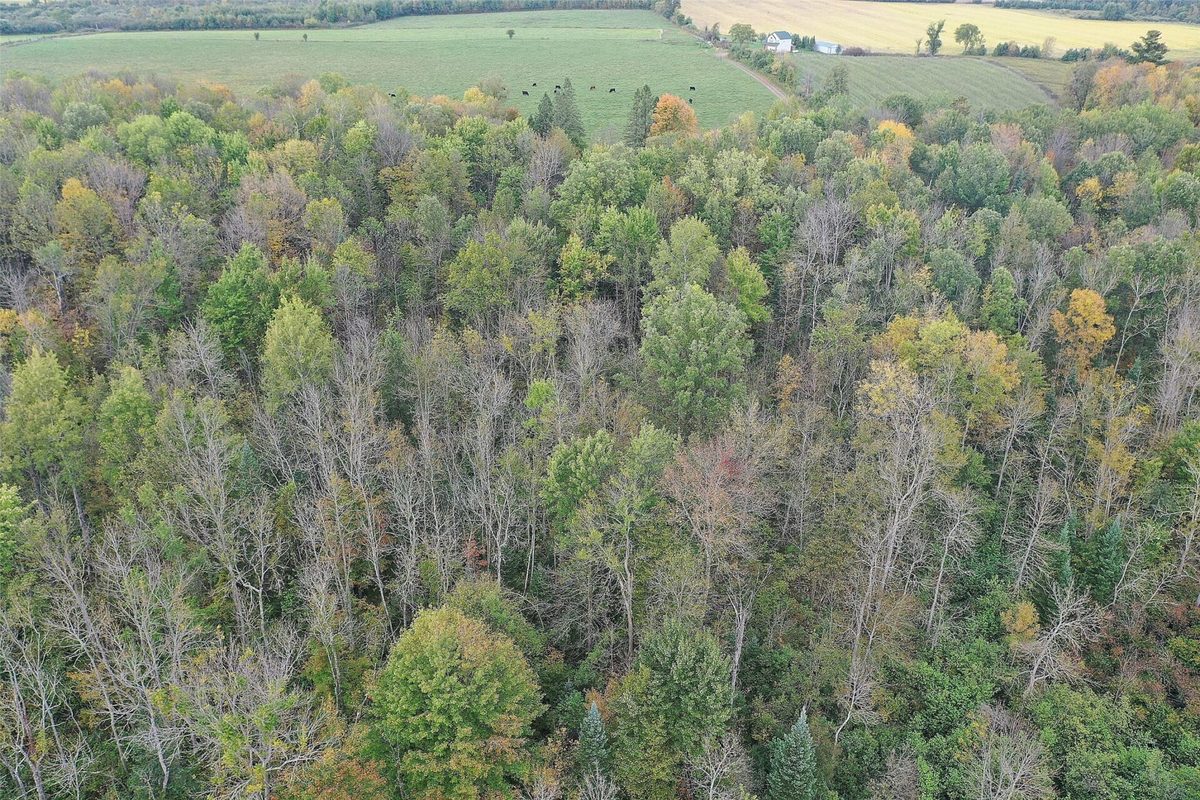 3621 Town Line Road, Glen Flora WI 54526 - Residential house for sale - MLS #1606236 - image12