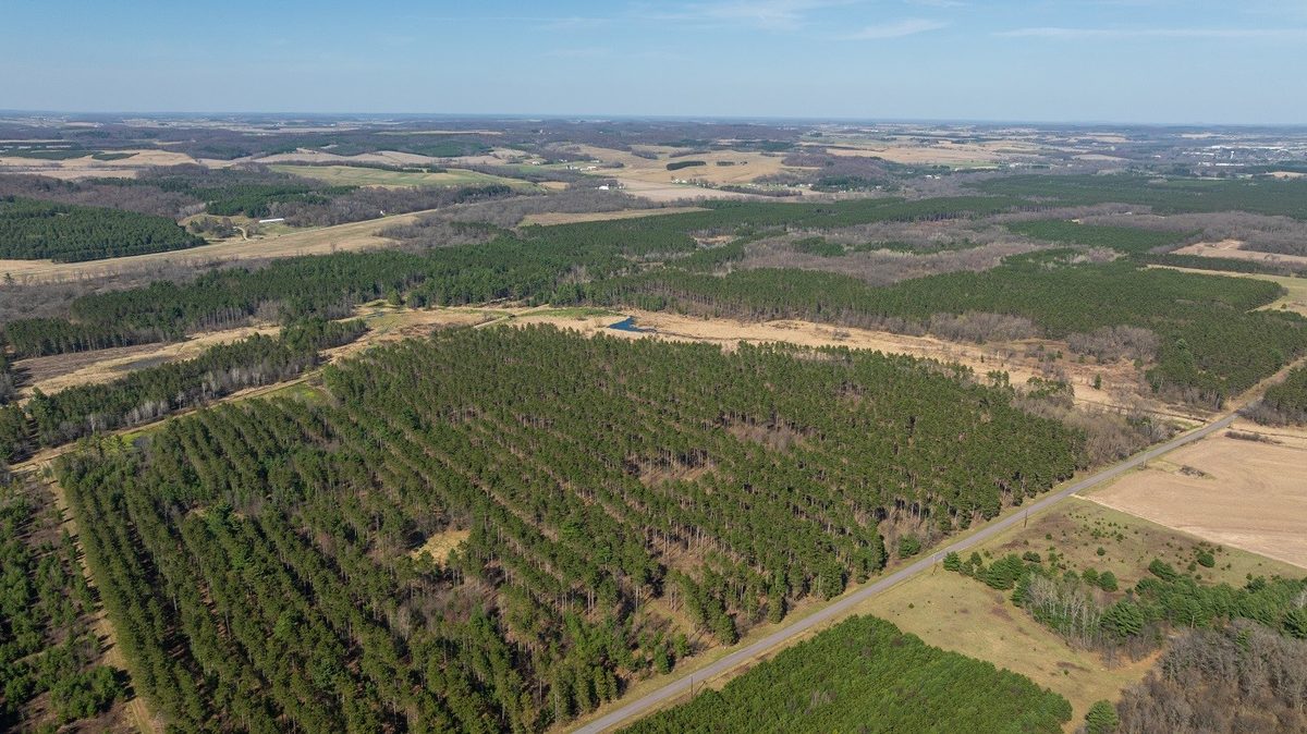 0 Prairie Road, Osseo WI 54758 - Land house for sale - MLS #1600339 - image22