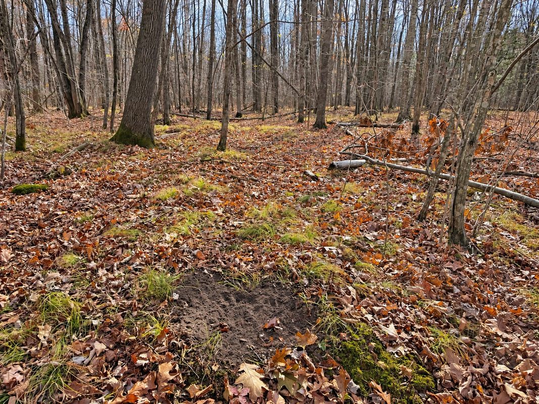 76886 Red House Road, Mellen WI 54546 - Land house for sale - MLS #1606363 - image12
