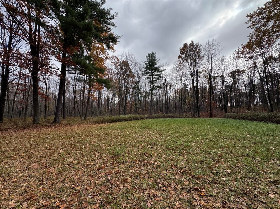 208220 Kane Lane, Mosinee WI 54455 - Land house for sale - MLS #1606074 - image3
