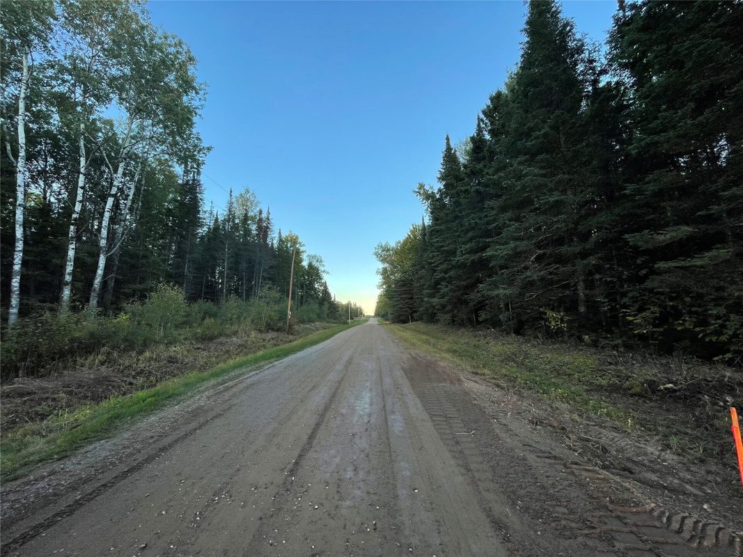 Lot 1 Fadness Road, Winter WI 54896 - Land house for sale - MLS #1605263 - image19