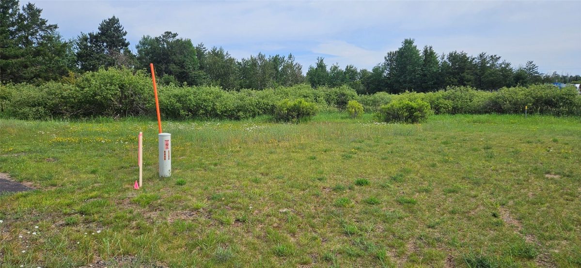 Lot B Windrose Lane, Hayward WI 54843 - Land house for sale - MLS #1602939 - image2