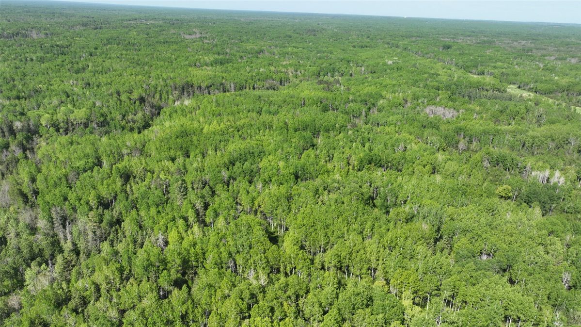 1640 County Road W, Superior WI 54880 - Land house for sale - MLS #1602205 - image11