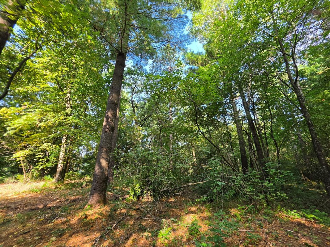 0 Country Road C Lot 1, Elk Mound WI 54739 - Land house for sale - MLS #1604589 - image13