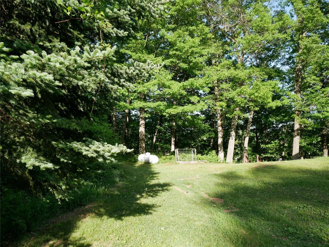 N1003 Deerhead Point Drive, Chetek WI 54728 - Residential house for sale - MLS #1599392 - image12