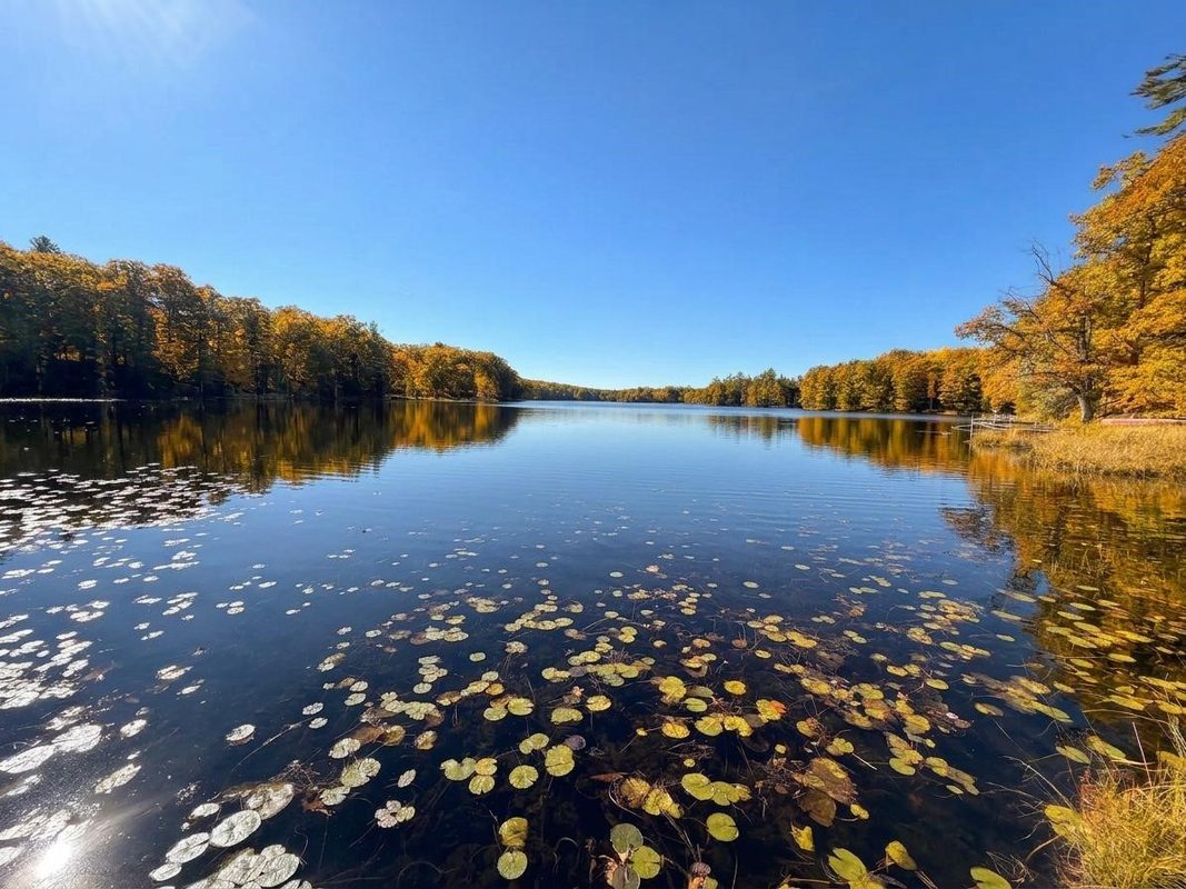 Lot 78, 79 Loons Landing Road, Weyerhaeuser WI 54895 - Land house for sale - MLS #1605876 - image2