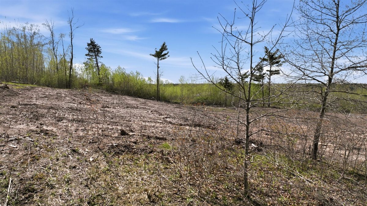Lot 2 25th Street, Cameron WI 54822 - Land house for sale - MLS #1596800 - image15