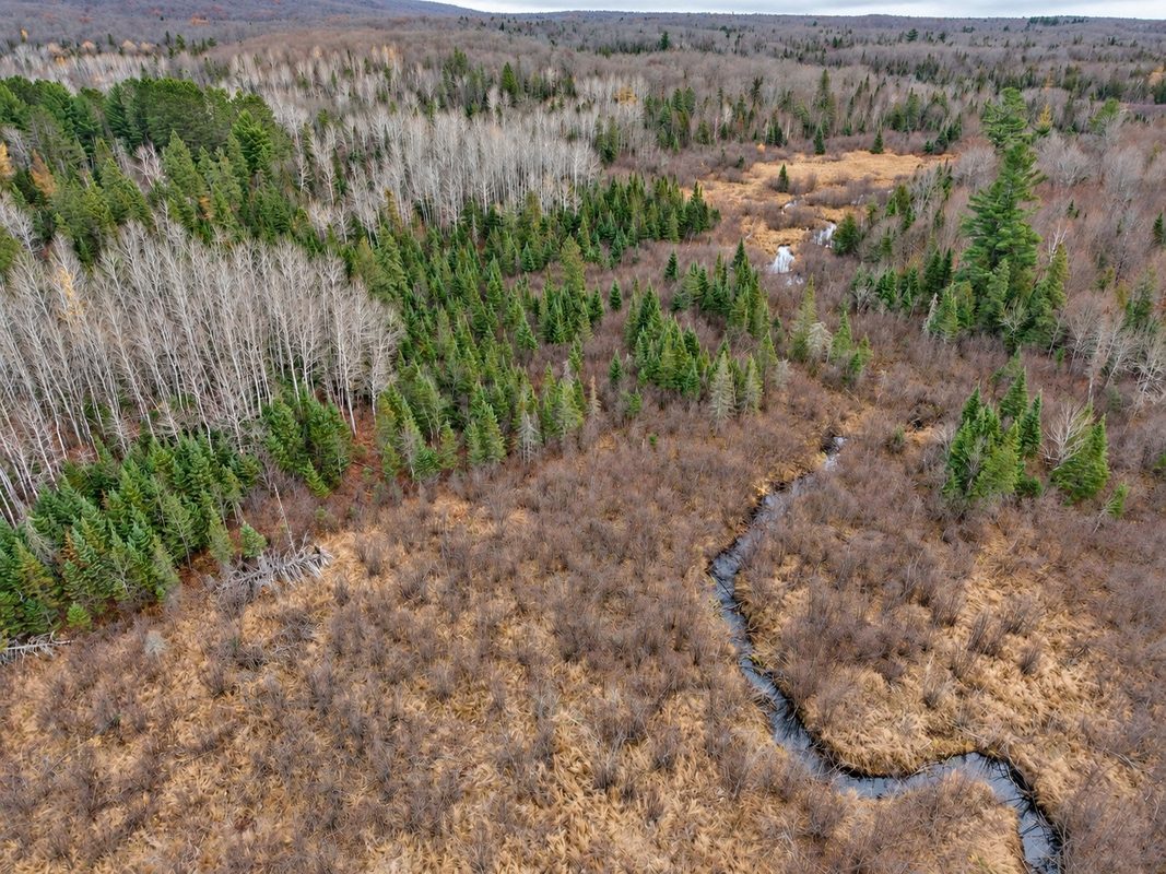 76886 Red House Road, Mellen WI 54546 - Land house for sale - MLS #1606363 - image21