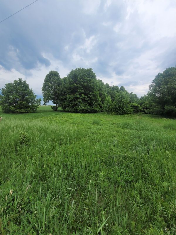 0000 County Hwy B Lot 4, Neillsville WI 54456 - Land house for sale - MLS #1597957 - image5