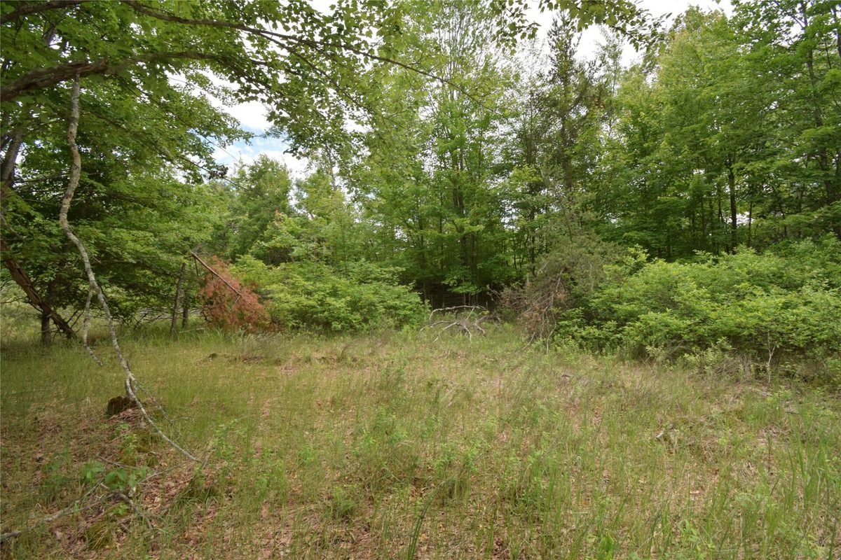 25385 Spaulding Road, Grantsburg WI 54840 - Land house for sale - MLS #1602394 - image7
