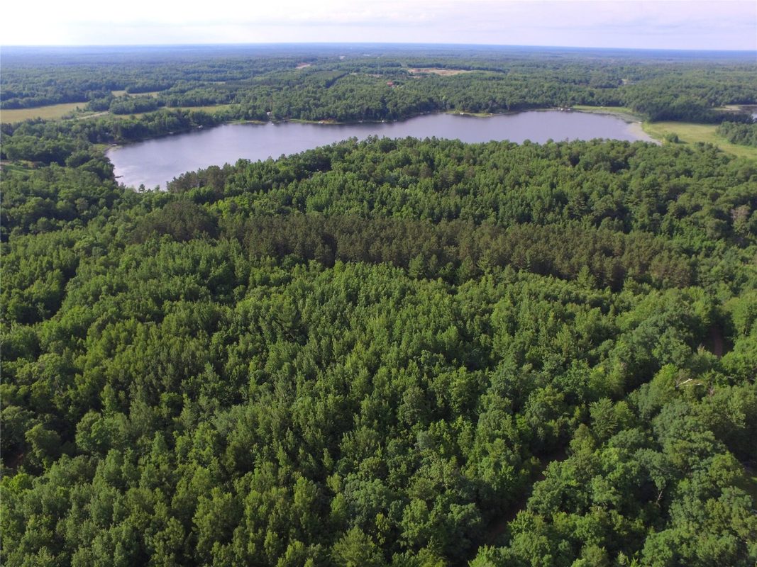 7230 County Road U, Danbury WI 54830 - Land house for sale - MLS #1602895 - image9