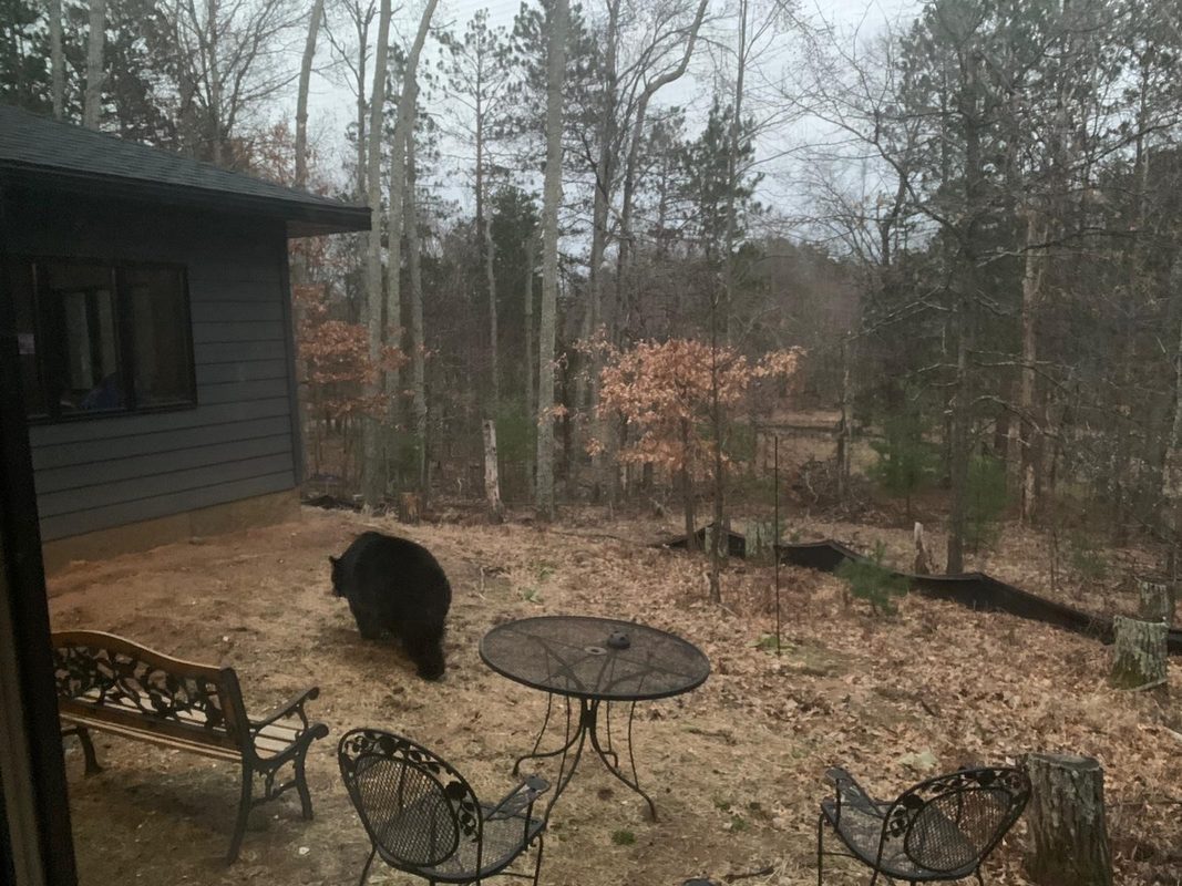 28478 Jesse Ryan Court, Danbury, WI — photo 11