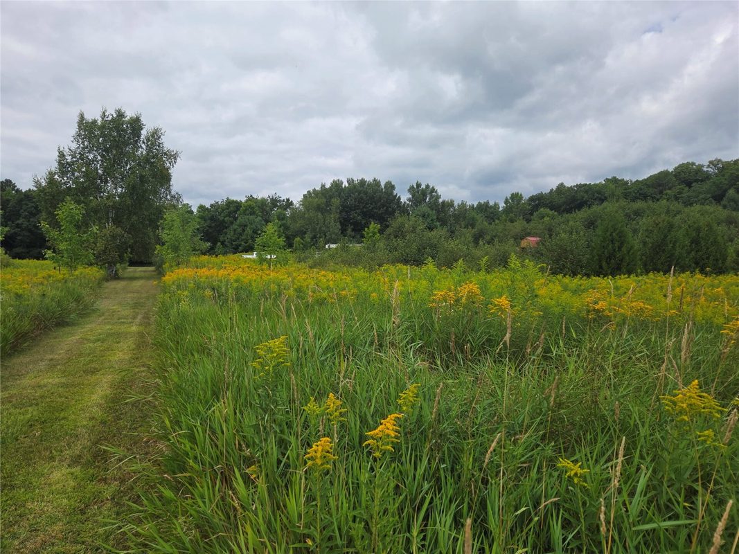 2979 12th Street, Barronett WI 54813 - Land house for sale - MLS #1604225 - image3